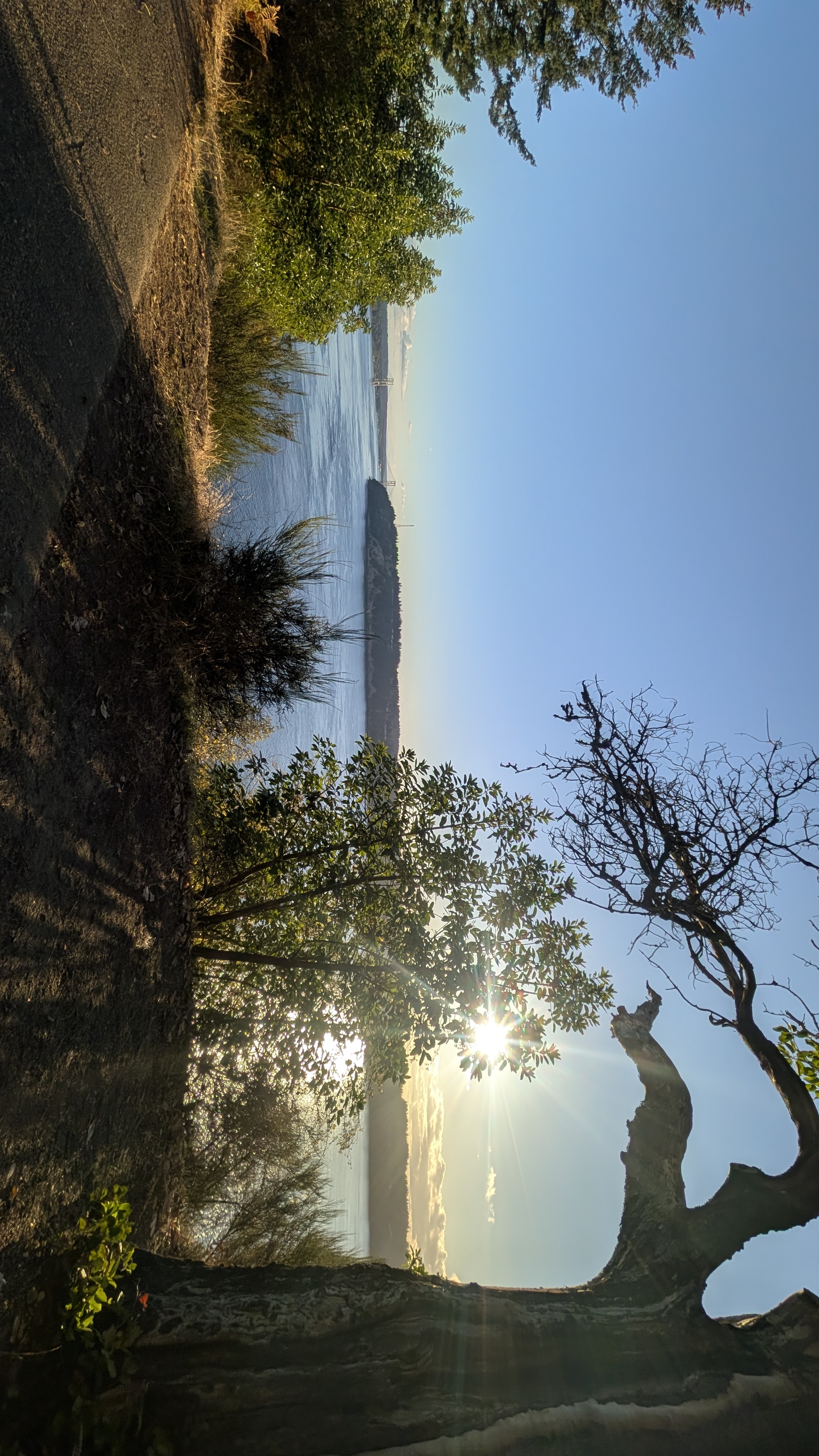 Puget Sound vista at Point Defiance Park looking out over the water